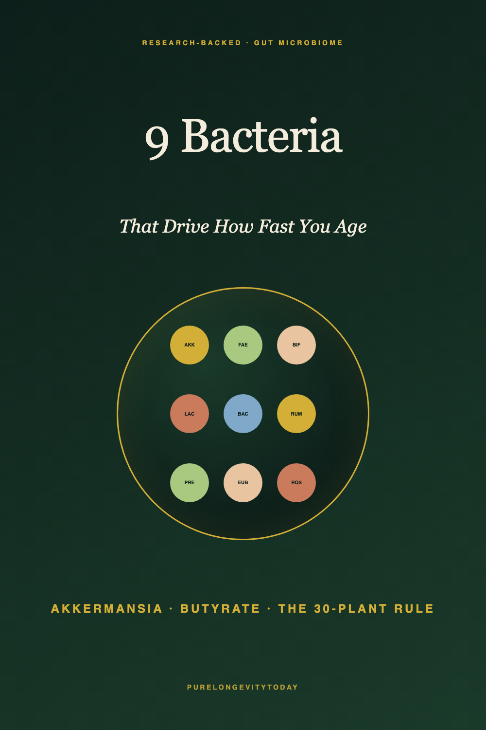 Editorial infographic showing nine gut bacteria strains in a petri dish, illustrating which microbiome species drive cellular aging and longevity outcomes.