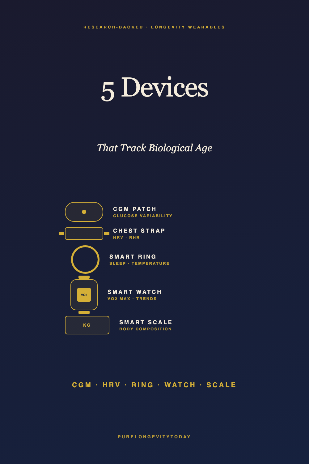 Tech-editorial illustration of 5 wearable devices that track biological age — CGM, HRV strap, smart ring, watch, and scale.
