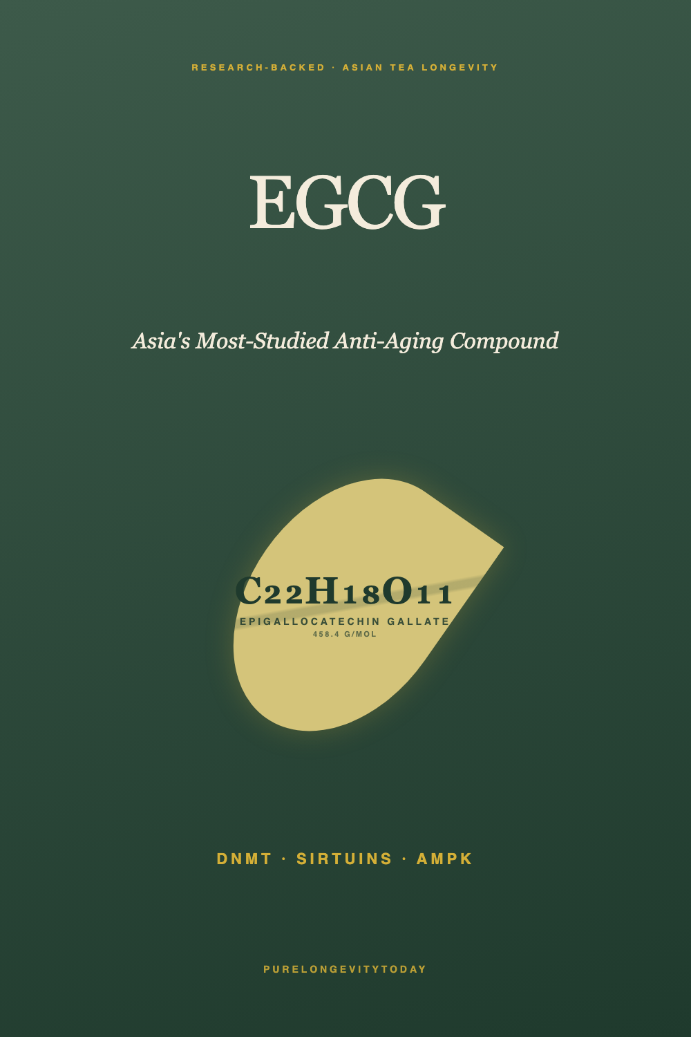 Sage green editorial pin showing the EGCG tea molecule, the most-studied anti-aging compound in Asia.