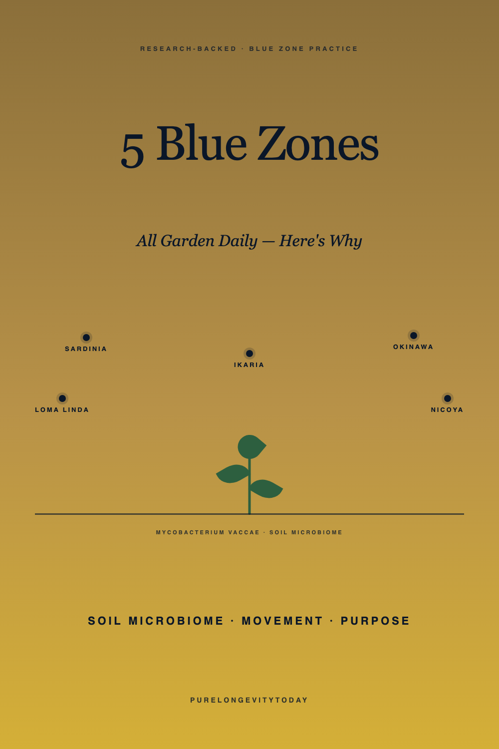Earth-toned editorial pin showing the 5 Blue Zone regions whose centenarians all garden daily — Sardinia, Okinawa, Loma Linda, Nicoya, Ikaria.