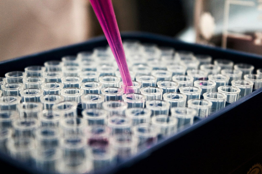 Purelongevity founder — purelongevity-founder-lab.jpg